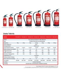 Extinguisher CO2